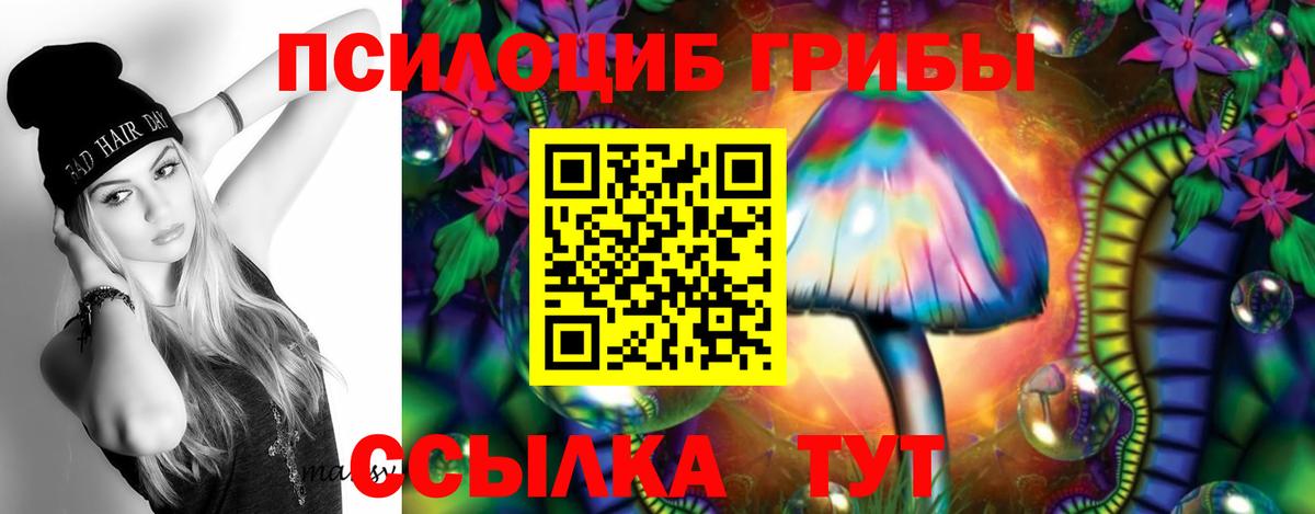Галлюциногенные грибы Psilocybine cubensis Новоалтайск