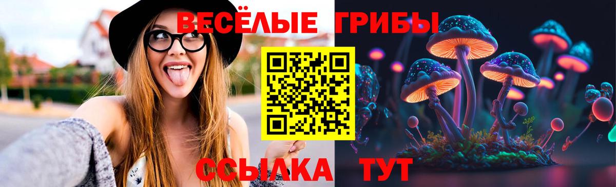 купить   Псилоцибиновые грибы ЛСД  Новоалтайск  Вход с VPN  Галлюциногенные грибы мухоморы 
