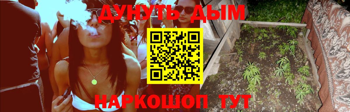 Бошки марихуана Ganja Новоалтайск